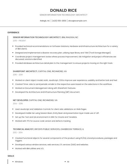 Senior Information Technology Architect Resume