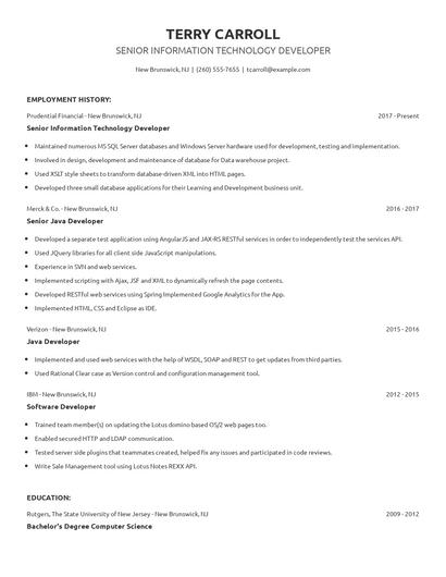 Senior Information Technology Developer Resume