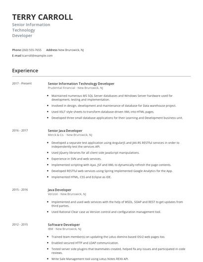 Senior Information Technology Developer Resume