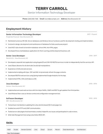 Senior Information Technology Developer Resume