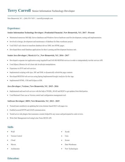 Senior Information Technology Developer Resume