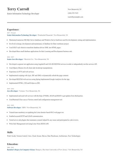 Senior Information Technology Developer Resume