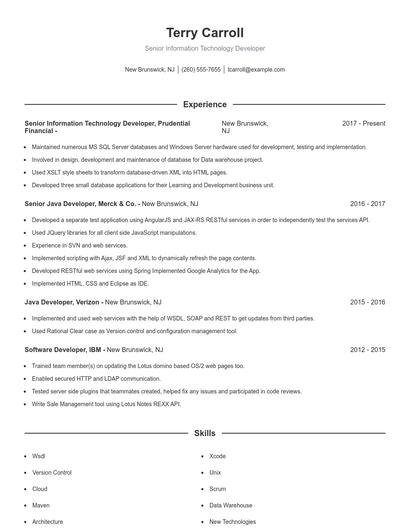 Senior Information Technology Developer Resume