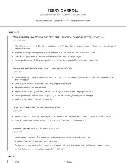Senior Information Technology Developer Resume