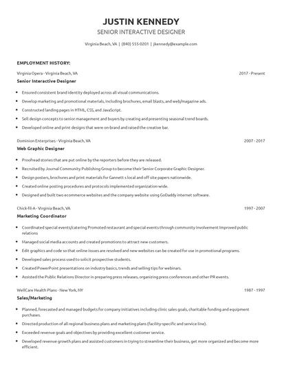 Senior Interactive Designer Resume