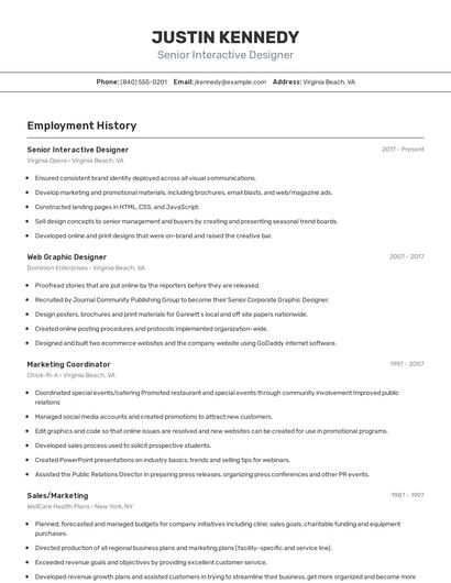 Senior Interactive Designer Resume