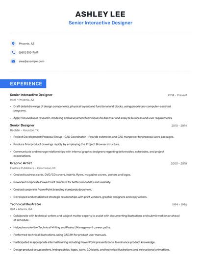 Senior Interactive Designer Resume