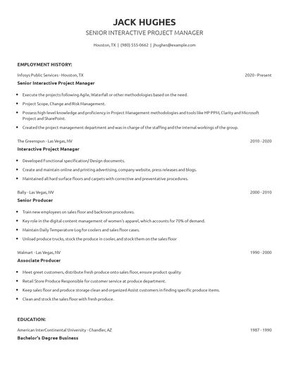 Senior Interactive Project Manager Resume
