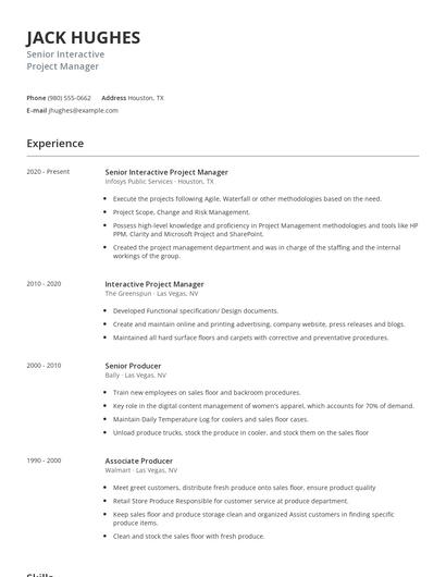 Senior Interactive Project Manager Resume
