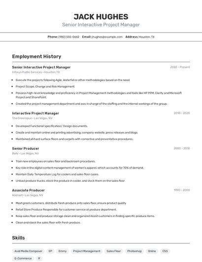 Senior Interactive Project Manager Resume
