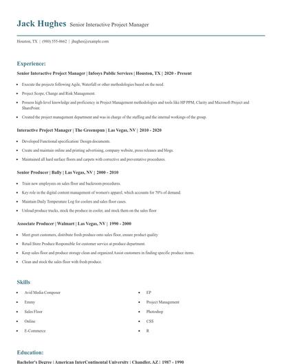 Senior Interactive Project Manager Resume
