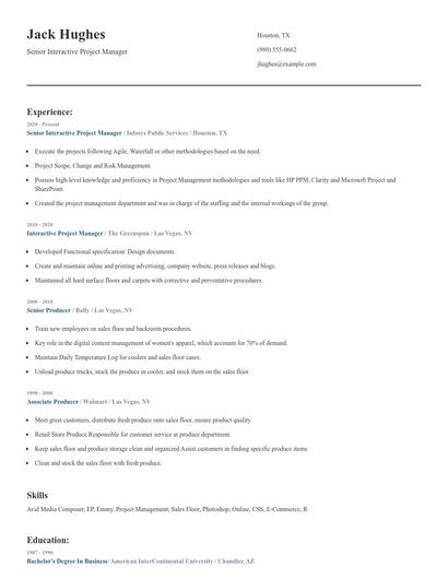 Senior Interactive Project Manager Resume