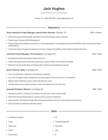 Senior Interactive Project Manager Resume