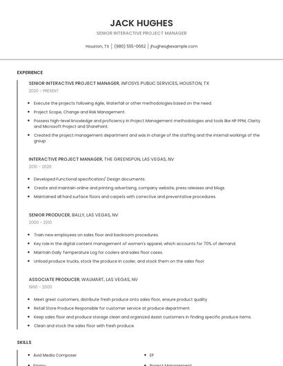 Senior Interactive Project Manager Resume