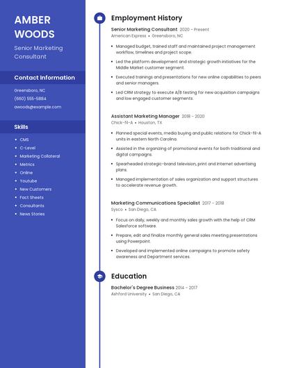 Senior Marketing Consultant Resume