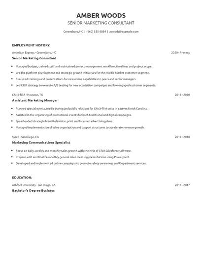 Senior Marketing Consultant Resume