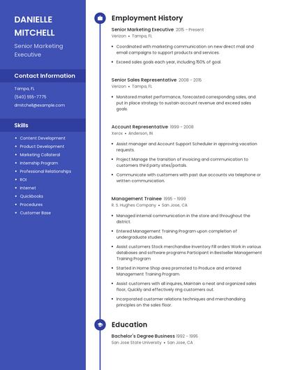 Senior Marketing Executive Resume
