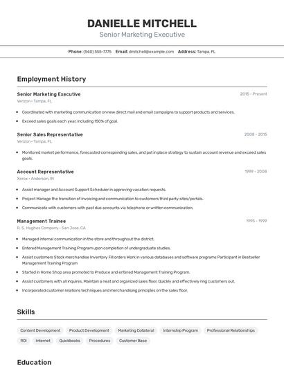 Senior Marketing Executive Resume