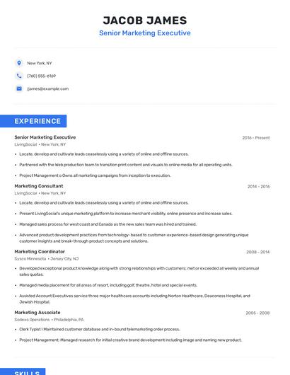 Senior Marketing Executive Resume