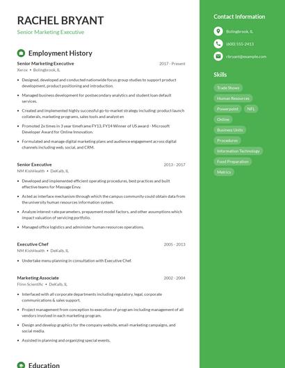 Senior Marketing Executive Resume