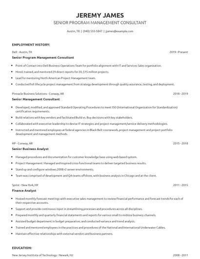 Senior Program Management Consultant Resume
