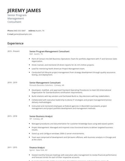 Senior Program Management Consultant Resume
