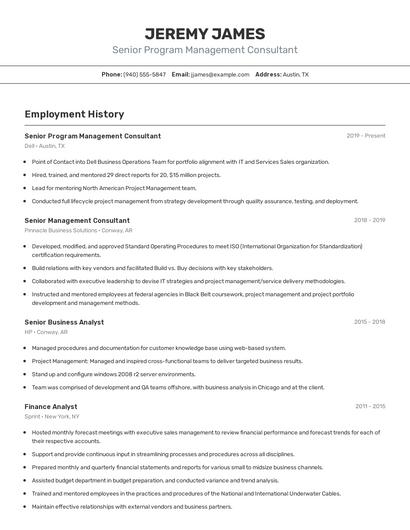 Senior Program Management Consultant Resume