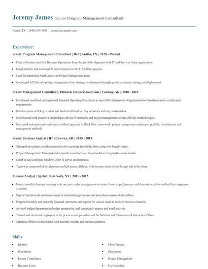 Senior Program Management Consultant Resume