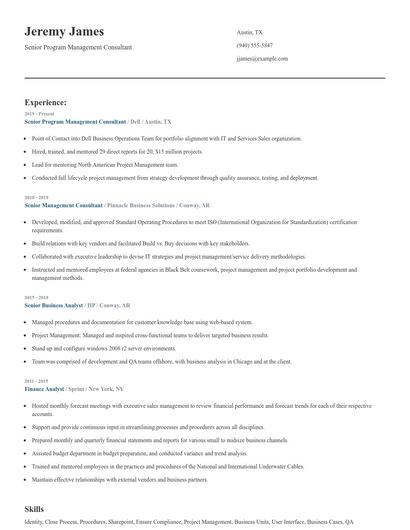 Senior Program Management Consultant Resume