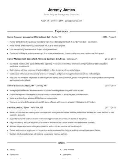 Senior Program Management Consultant Resume