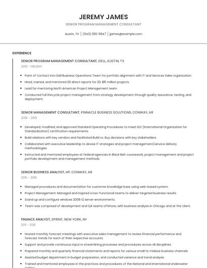 Senior Program Management Consultant Resume