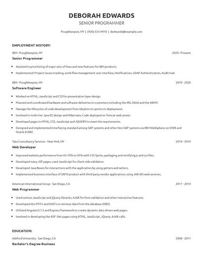 Senior Programmer Resume