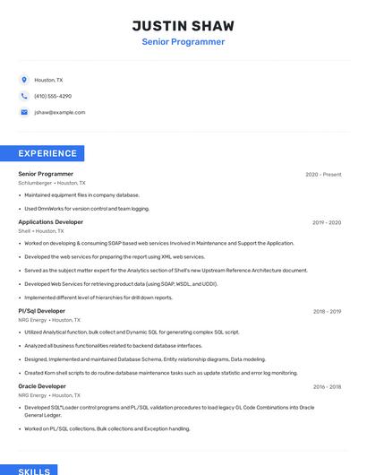 Senior Programmer Resume