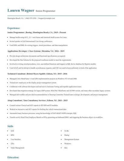 Senior Programmer Resume