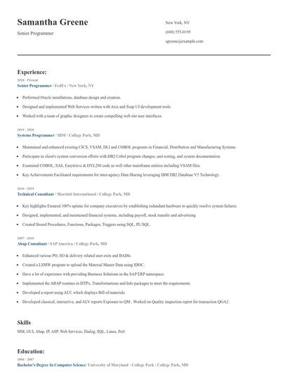 Senior Programmer Resume