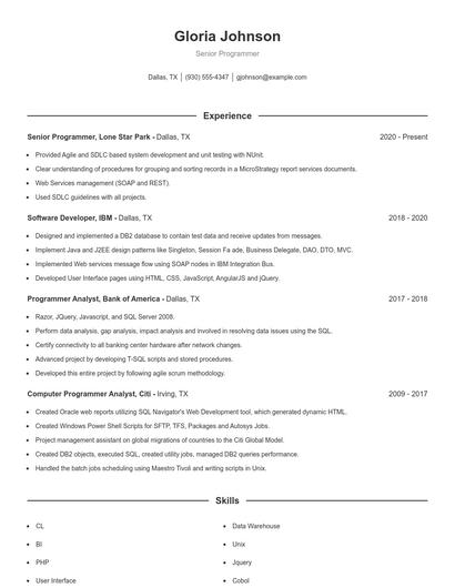 Senior Programmer Resume