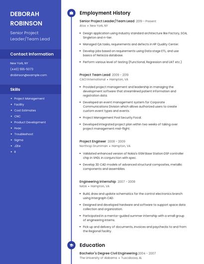 Senior Project Leader/Team Lead Resume