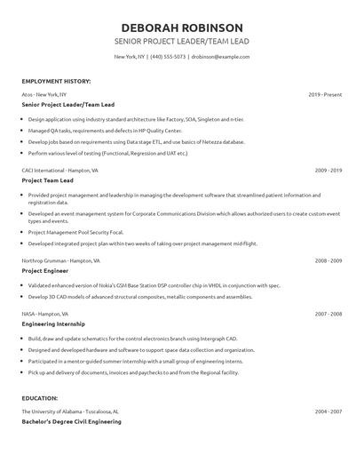 Senior Project Leader/Team Lead Resume