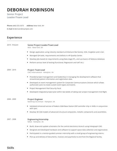 Senior Project Leader/Team Lead Resume