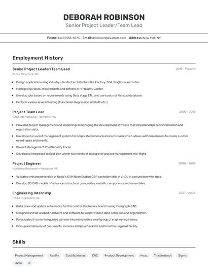 Senior Project Leader/Team Lead Resume