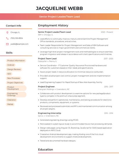 Senior Project Leader/Team Lead Resume