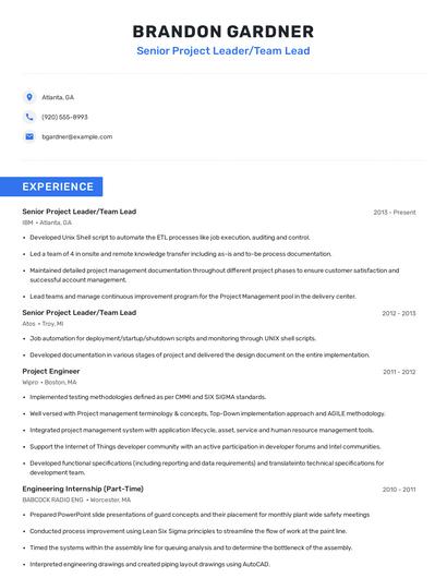Senior Project Leader/Team Lead Resume