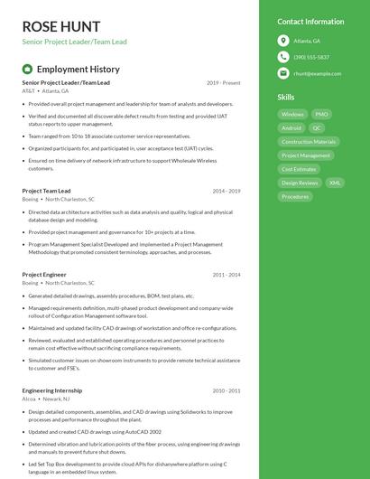 Senior Project Leader/Team Lead Resume