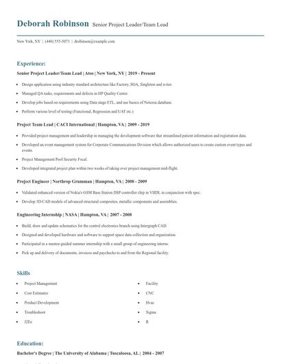 Senior Project Leader/Team Lead Resume