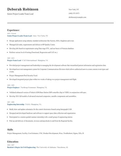 Senior Project Leader/Team Lead Resume
