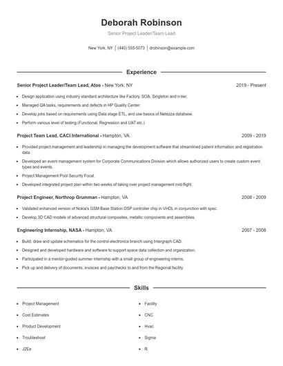 Senior Project Leader/Team Lead Resume