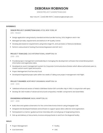 Senior Project Leader/Team Lead Resume