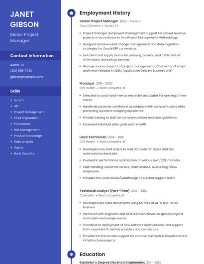 Senior Project Manager Resume