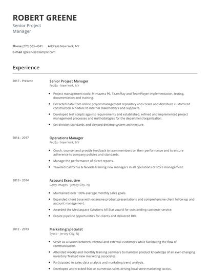 Senior Project Manager Resume