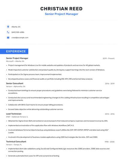 Senior Project Manager Resume